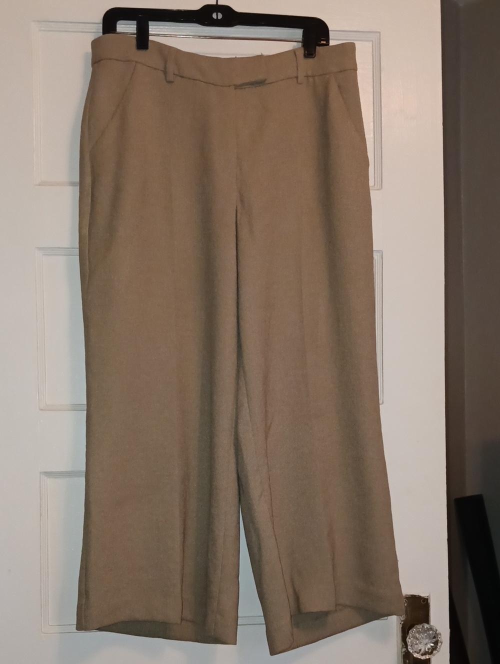 Classic Wide-Leg Women's Pants in Beige
